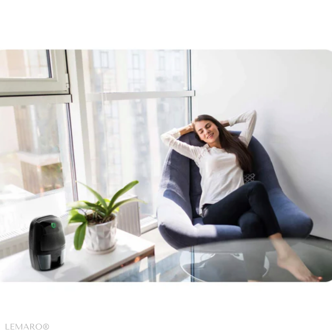 Dezumidificator pentru Casa, Portabil, Rezervor 0,6L, Silentios, Absorbant Umiditate, Negru