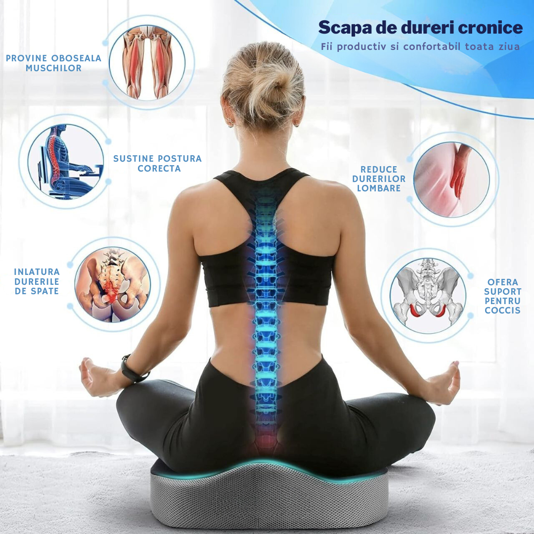 Perna Ortopedica Suport Coccis, pentru Scaun de Birou sau Masina, pentru Hemoroizi, Husa Respirabila si Antialunecare, Spuma cu memorie
