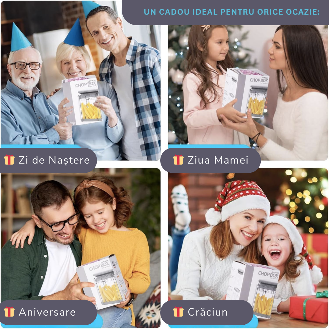 Aparat Manual de Taiat cartofii Premium, Lemaro® 4 in 1, pentru Legume si Fructe, Cartofi Pai, 4 x Lame, Gri