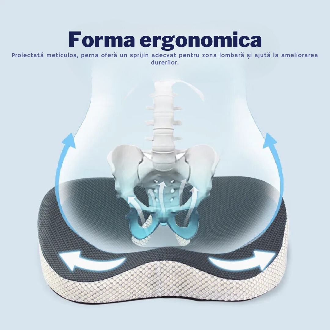 Perna Ortopedica Suport Coccis, pentru Scaun de Birou sau Masina, pentru Hemoroizi, Husa Respirabila si Antialunecare, Spuma cu memorie